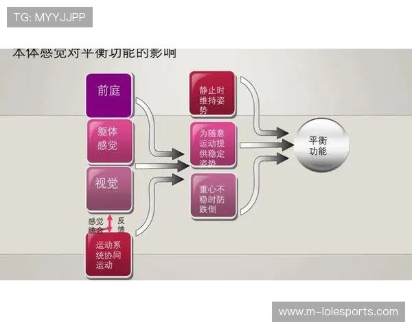 基于生物力学分析的学术机构攀岩技术动作优化与运动表现提升研究 基于生物力学分析的学术机构攀岩技术动作优化与运动表现提升研究